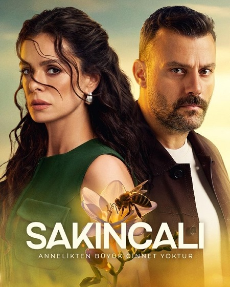 صورة الغلاف