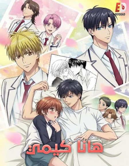 صورة الغلاف