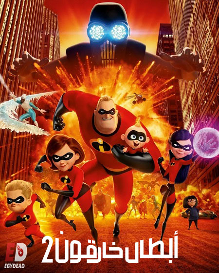 صورة الغلاف